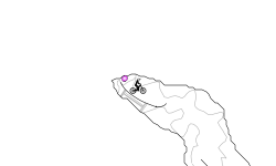 2 sub special