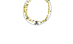 star circle (preview)