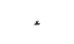 What The Minion Track (Auto)