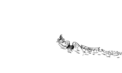 grassland jumps