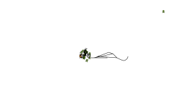 Hi I’m back with tracks