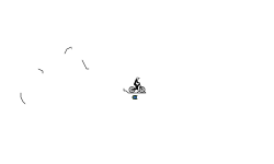 random auto