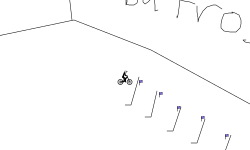 Albatross