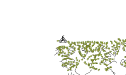 3 trees!!!