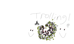 Trolling!