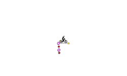 level 19