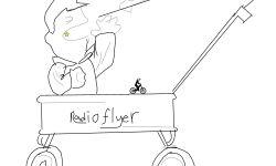 Radio flyer level