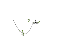 Auto track