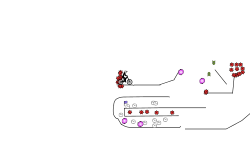 trial (DESC)
