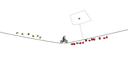 Big Half pipe?