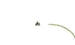 AUTO TRACK "ROLLER COSTER"