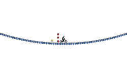 Endless Jumps
