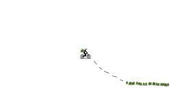 The Auto Level