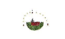 Death By Watermelon