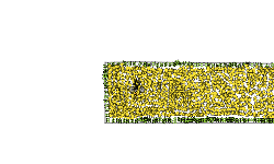 2000 stars