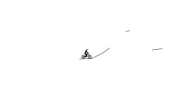 small brush
