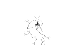 The Cave Escape