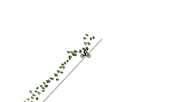 Long level