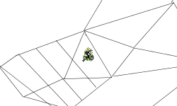 3d shapes