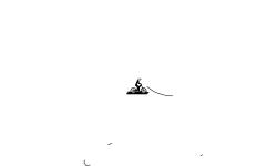 Fing