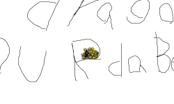 Dragon City Player Tribute