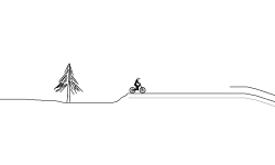 Barren Pines