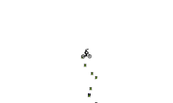 Fast Auto