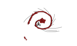 Collab with RJR