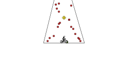 Red Blood Cells