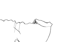 Abandon