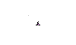 Animation