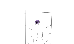 2nd maze