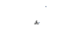 Mr. Gravity