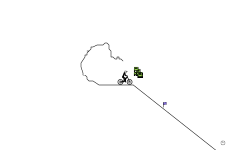 slendybug