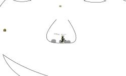 face