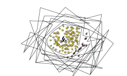 Web 2