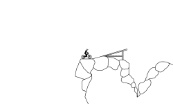 rocky diamont mtb line