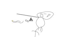 colab uh duc colab uh duck