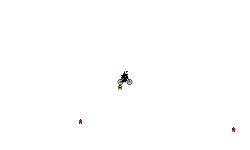 Hardcore Helicopter training