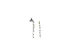 THE DROP