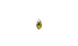 poke egg