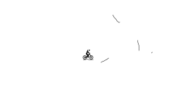 Short Crazy Brush