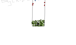 The Elevator