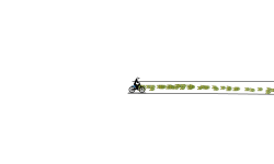 race