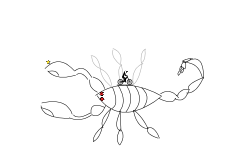Ride the scorpion