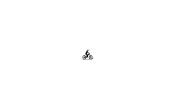 short auto
