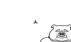 Piggi
