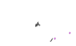 scribble auto