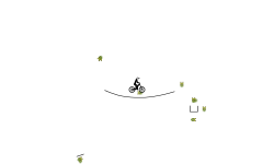 AUTO (Test)