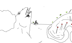 DraGoN RiDeR